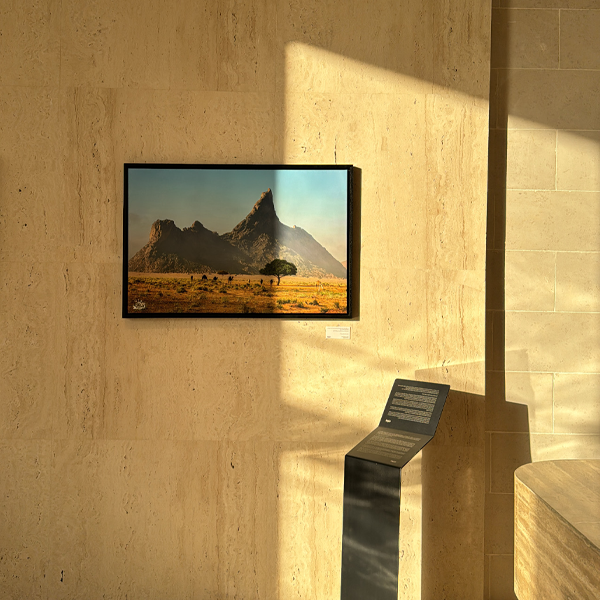 المساحة الفنية